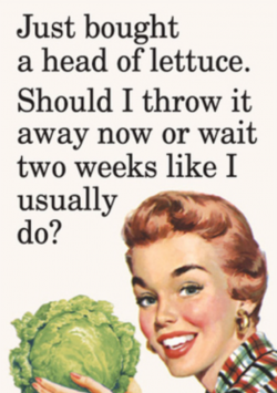Retro woman holding up lettuce she just bought